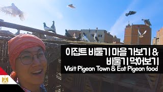 Visit Egyptian Pigeon Village & Eat Pigeons-Eurasia 【92】