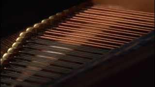 Young Chang New Piano Design