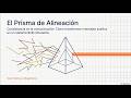 Actividad Nº 040 - Consistencia en toda la comunicación.