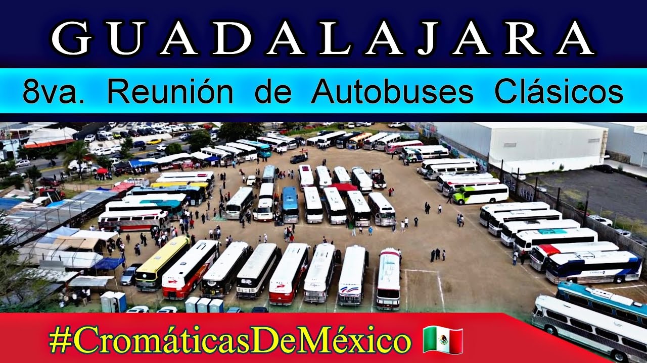 8va  Expo Guadalajara 2025  Puros perrones