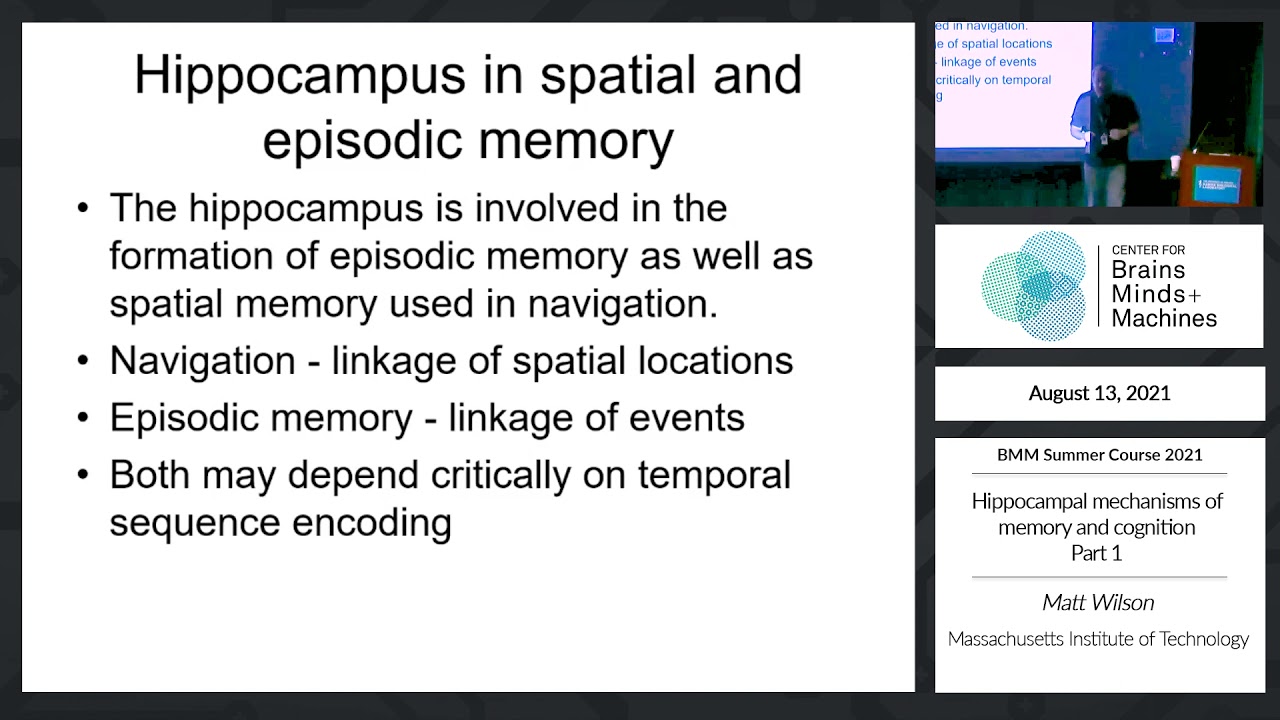 Hippocampal mechanisms of memory and cognition: Part 1