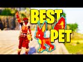 How to PET YOUR PAL | palworld guide | command menu for your pal.