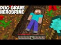 I DUG UP the GRAVE of HEROBRINE and WAS SHOCKED in Minecraft ! WHAT HAPPENED NEXT ?