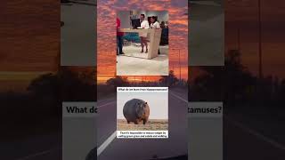 Warning: Side effects may include uncontrollable laughter! 😂🤣 #CertifiedFunny #MemeTherapy