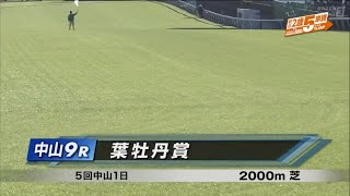 葉牡丹賞［2023.12.2 中山第9R/2000m 芝］