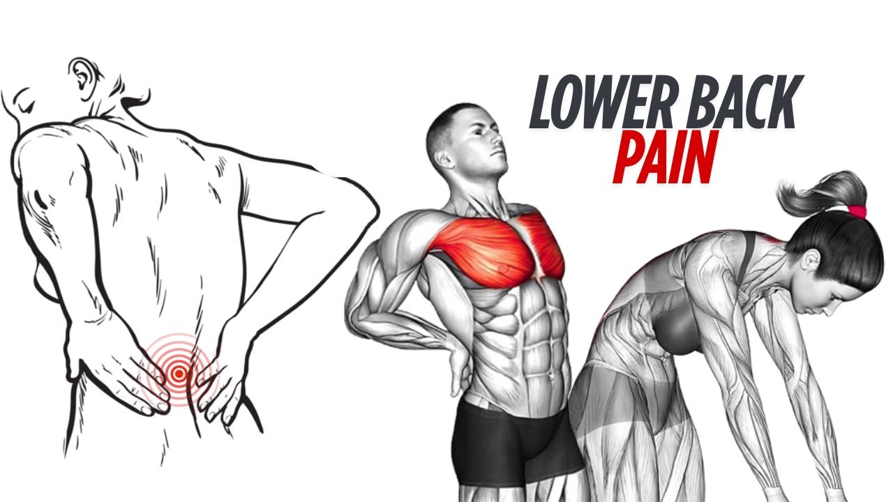 5 Minute Lower Back Pain Relief Workout (No Equipment Needed) - YouTube