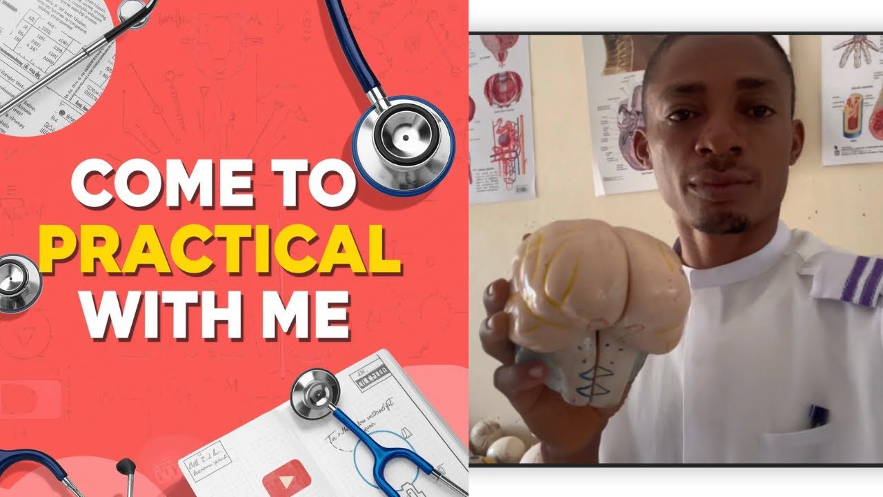 Inside NURSING Practical Room😳 #health #nursingstudentlife #viral 