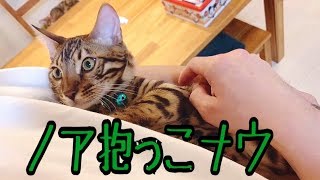 パパさんノア抱っこ耐久！