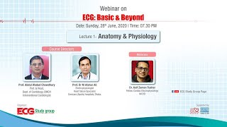 ECG: Basic and Beyond | Lecture 1 - Anatomy and Physiology