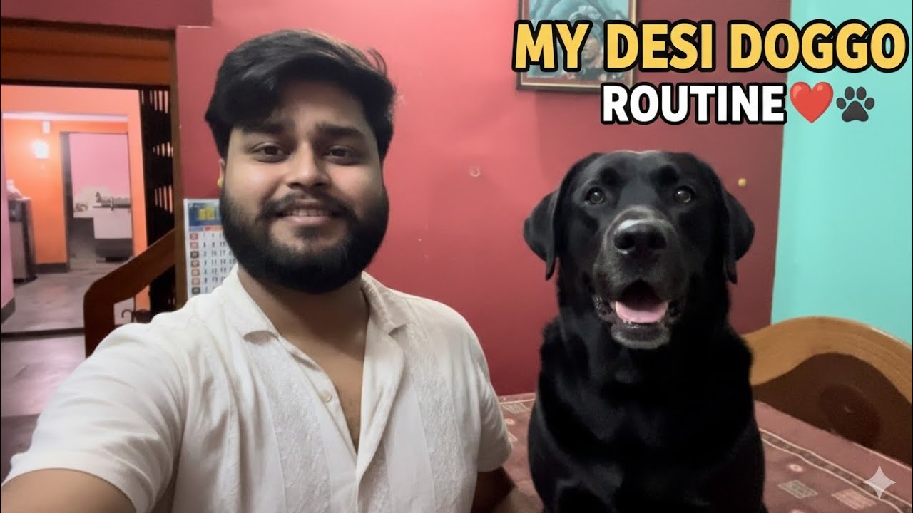 Meet my dog 🐕 (siri)