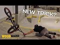 DANGERBOY CREATES NEW BMX TRICK?! Woodward Park City Family Vacation!