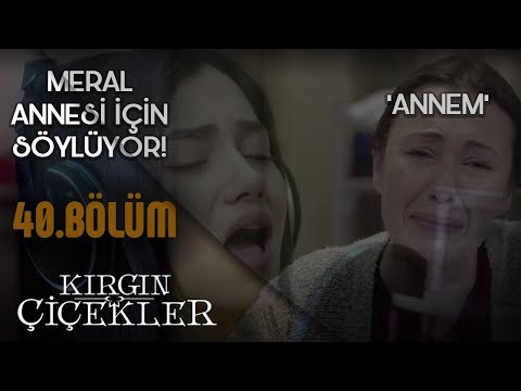 KIRGIN CICEKLER ΖΩΕΣ