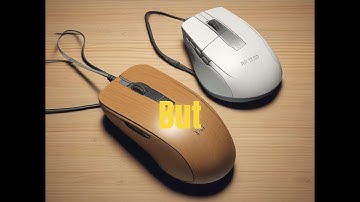 The First Mouse Was Made of Wood! 🖱️😲