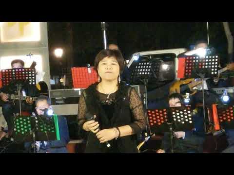 107/11/03嘉義市鵝媽媽公益樂團--淚酒--歐秀女