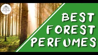 Best 6 Forest Perfumes that smell like pure nature