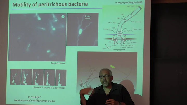Professor Kenneth Breuer lecturing at CISM