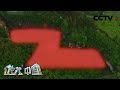 破解重庆武陵山“Z”形天坑的秘密 武陵山传奇 5 20200809  |《地理·中国》 CCTV科教