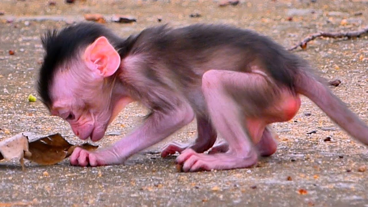 Baby Rano is so cute - YouTube