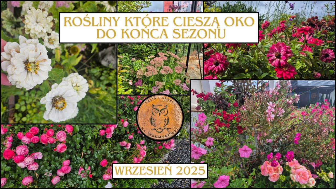 Rośliny które cieszą oko do końca sezonu