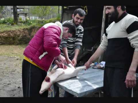 გოჭის შეწვა 1