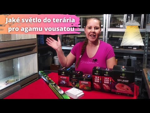 Video: Potrebujú terária slnečné svetlo?