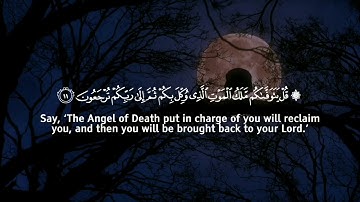 يُدَبِّرُ الْأَمْرَ مِنَ السَّمَاءِ إِلَى الْأَرْضِ تلاوة القارئ عمر هشام العربي