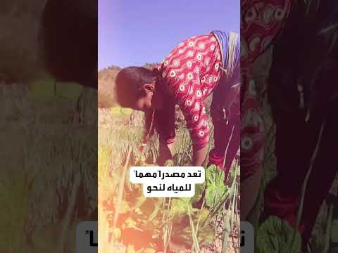 عواقب وخيمة لذوبان أنهار الهملايا المتجمدة