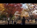 川口市グリーンセンター の動画、YouTube動画。