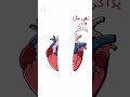 قلبي انقصم نصين 