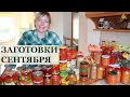 Заготовки на зиму в сентябре / Что я заготовила / Новая сушилка