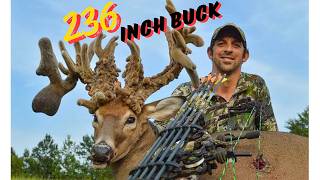 The 3rd BIGGEST BUCK of ALL TIME in GEORGIA!!! 236 INCHES!!