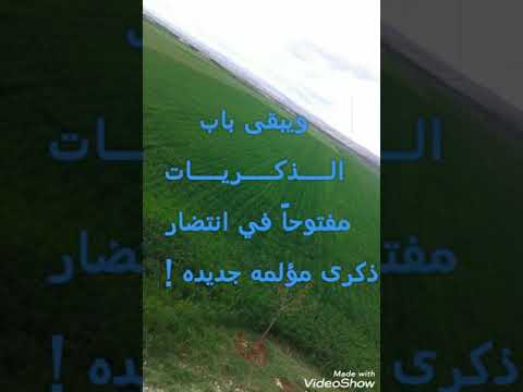 عبارات عن الذكريات