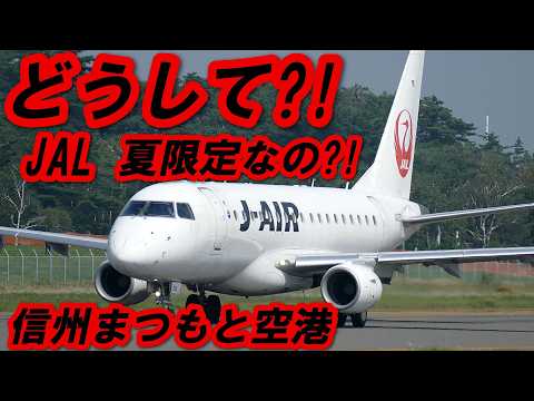 来た!! 夏限定のJAL便のヒミツ 信州まつもと空港