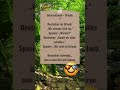 International Urlaub