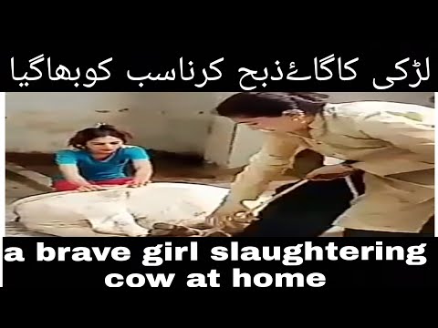 brave girl slaughtering cow | larki gaye zabha karty hovy | wonder woman | qurbani by girl on eid