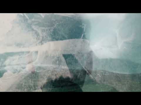 Sacred Paws - Turn Me Down (Official Music Video)