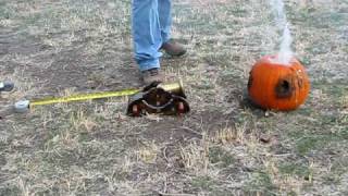 canon vs. pumpkin