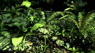 Crysis 3 - Tech Demo trailer [CryEngine 3]