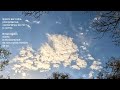 Charlie Ysasi - Nube (Lyric Video)