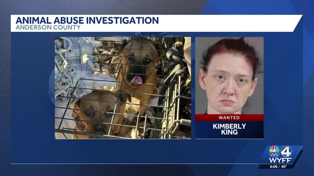 Anderson County woman wanted on animal cruelty charges, deputies say ...