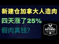 加拿大人造肉(Very Good Food)股票分析2020|四天涨了25%|下一个Beyond Meat？