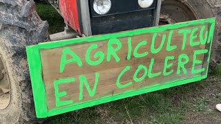 Manque de revenus, concurrence européenne... Pourquoi la colère monte chez les agriculteurs