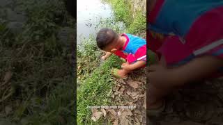 anak kecil jago mancing belut