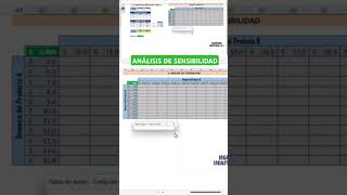 Análisis de Sensibilidad en EXCEL.