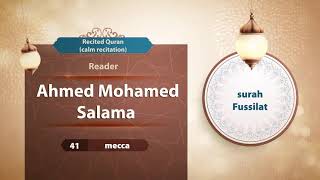 surah Fussilat {{41}} Reader Ahmed Mohamed Salama