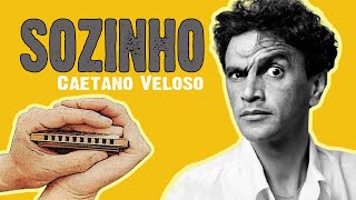 Eduardo Rapaz - Sozinho (Caetano Veloso gaita harmonica cover instrumental) chords