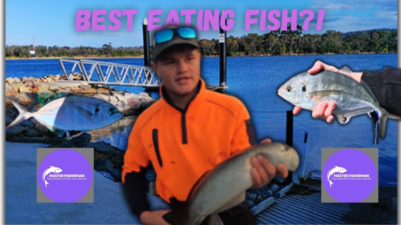 Is This The Best Eating Fish?! - YouTube