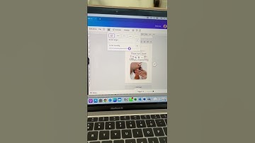 Whats New Canva Episode 1 - Create Rounded Corners For Media in Canva
