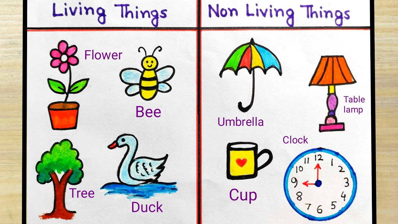 Living and non- living things science project drawing | How to ...