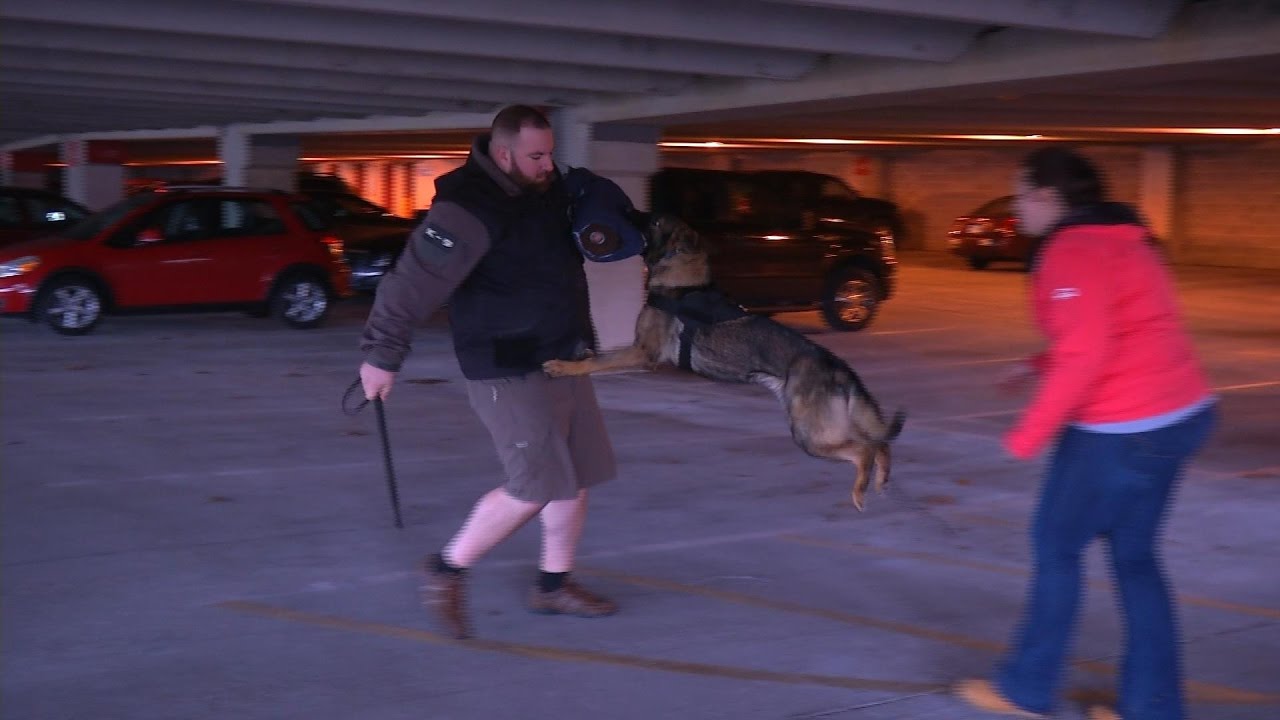 video phone beyonce mp3 Protection Training W/ 